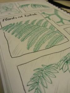 leaf drawings