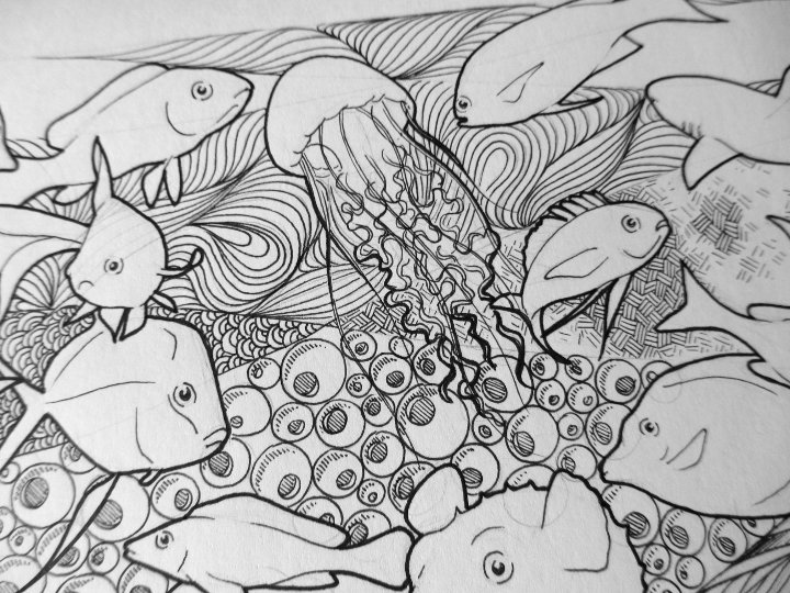 Fish doodle art by Clare Willcocks