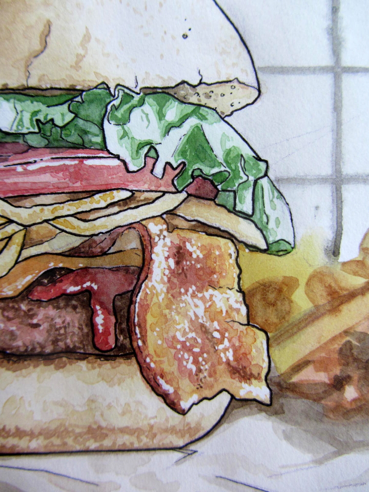 burger - food illustration
